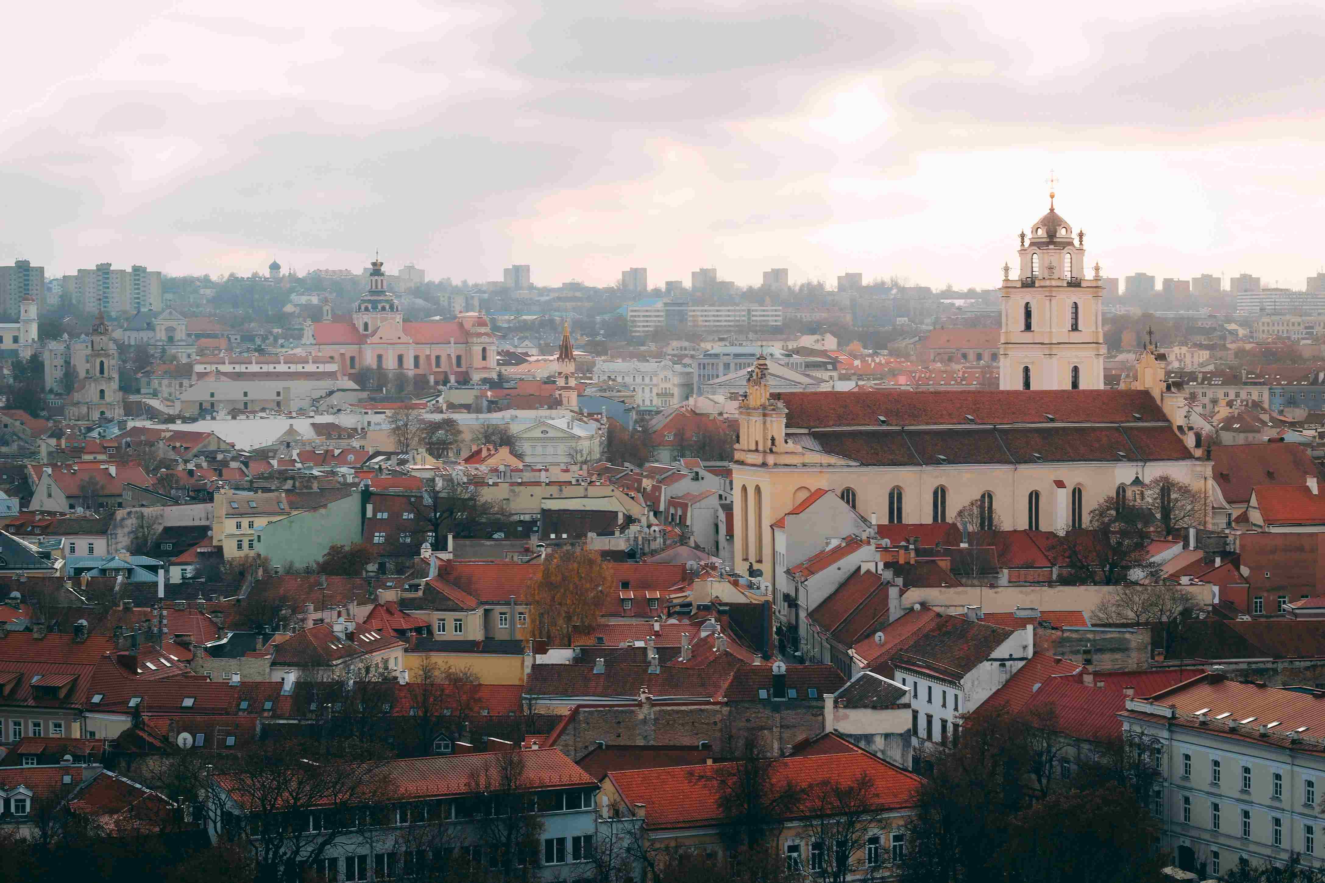 Study in Lithuania from Pakistan